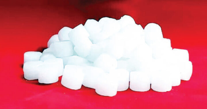 swasthya sampada column Is there pure camphor at home?
