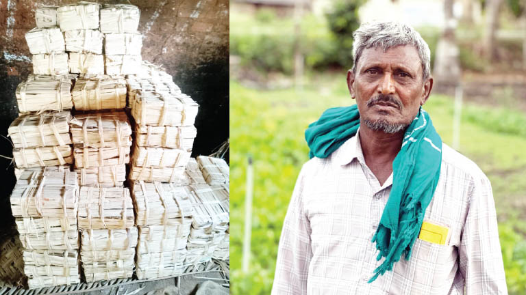krishiyinda baduku column by sandeep manjunath