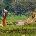 Regenerative Agriculture: Why is it necessary for India?