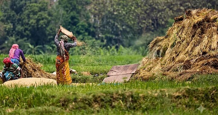 Regenerative Agriculture: Why is it necessary for India?