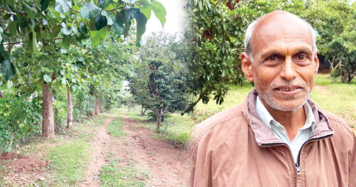 krishiyinda baduku column by sandeep manjunath