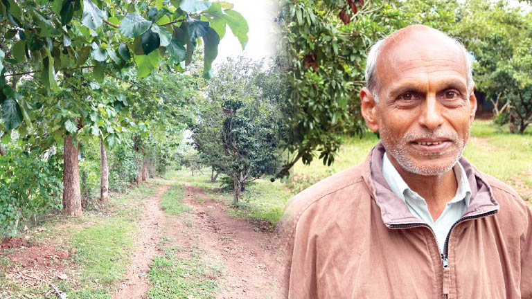 krishiyinda baduku column by sandeep manjunath