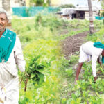krishiyinda baduku column by sandeep manjunath