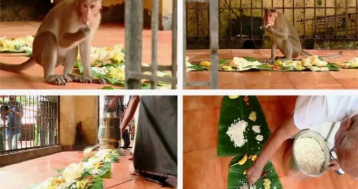 Onam Sadya- vanara Sadya at Shastankotta Temple