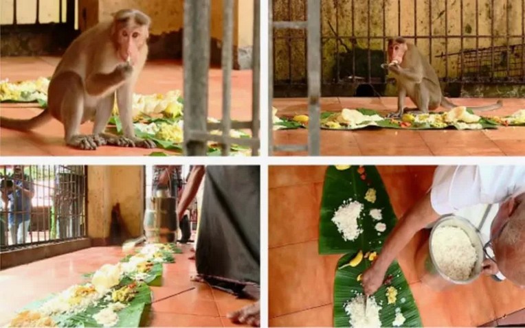 Onam Sadya- vanara Sadya at Shastankotta Temple