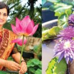 krishiyinda baduku column by Sudha sandeep