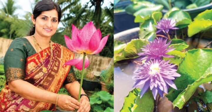 krishiyinda baduku column by Sudha sandeep