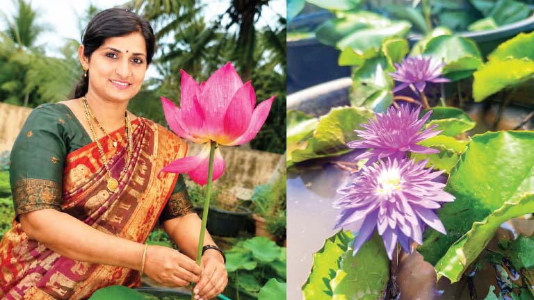 krishiyinda baduku column by Sudha sandeep