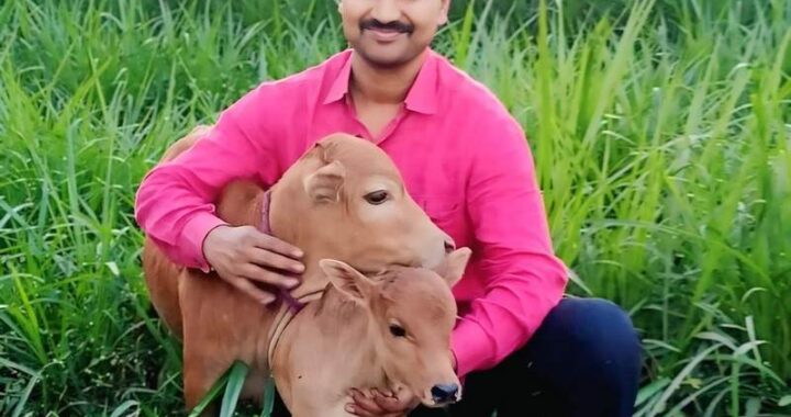 ನಗರದ ಮಧ್ಯೆ ಸ್ವರ್ಗ ಸೃಷ್ಟಿಸಿದ ‘ಅನ್ನದಾತ’: ನಶಿಸುತ್ತಿರುವ ದೇಶಿ ಗೋತಳಿಗಳ ರಕ್ಷಕ ಸಿ.ಎನ್. ಕೃಷ್ಣಮೂರ್ತಿ